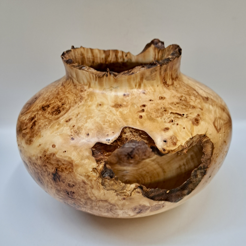 Click to view detail for JW-259 Colorado Aspen Burl Hollow Woodturning $500